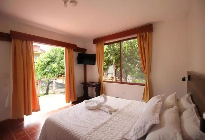 پانسیون Lava House Hostal