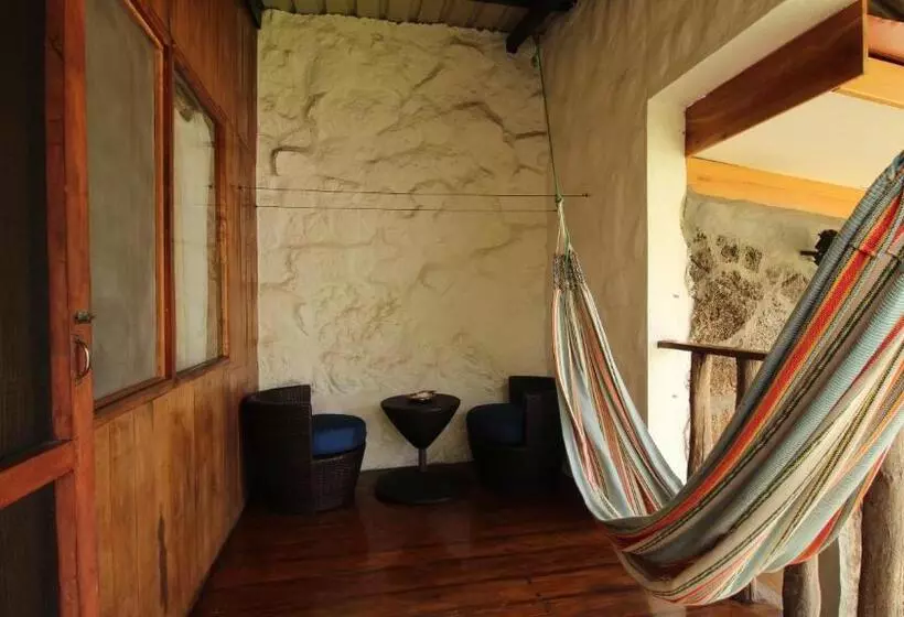 پانسیون Lava House Hostal