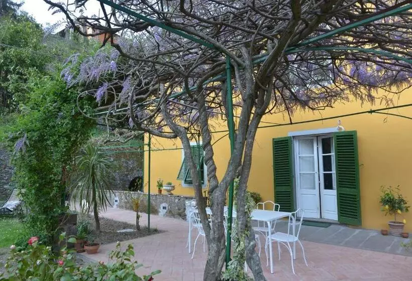 ペンション Villa Lucchesi