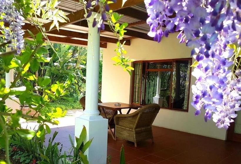 مبيت وإفطار Umlambo River Lodge