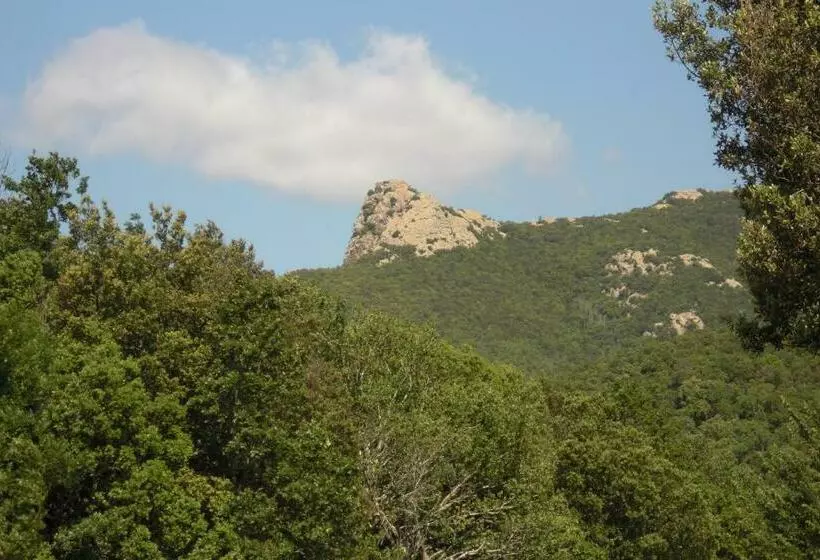 پانسیون Ca La Conxita Hostal & Restaurante