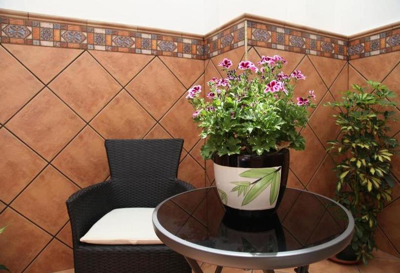 پانسیون Hostal Avenida