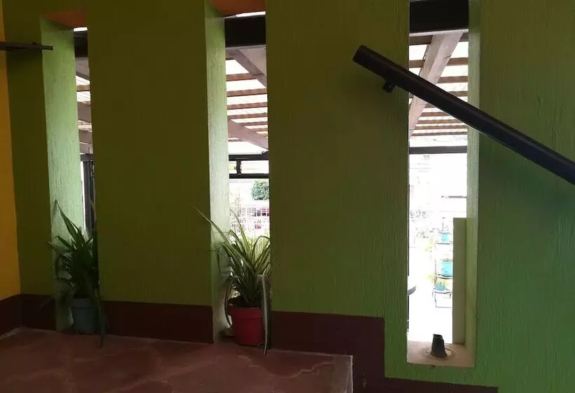 پانسیون Hostal Guatefriends