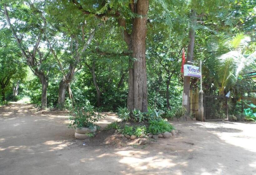 پانسیون Victoria Guest House And Cottages