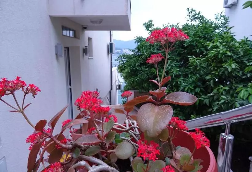 پانسیون Villa Del Mar