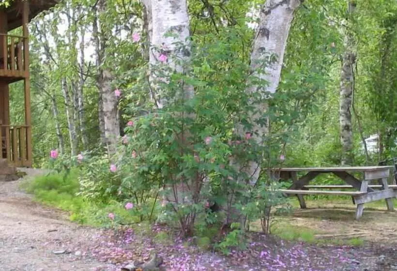 ユースホステル Swiss Alaska Inn