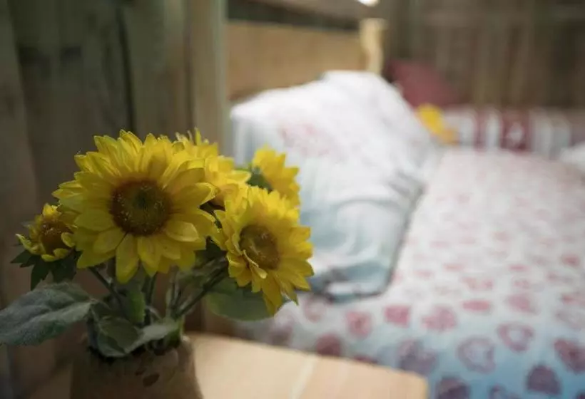ホテル Agriturismo Alle Baite
