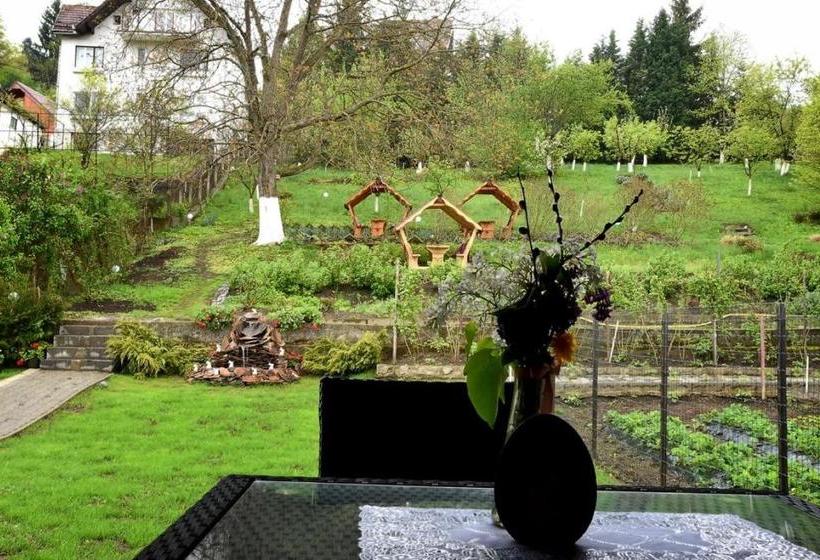 بنسيون Casa Adalmo