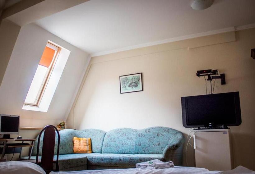 بنسيون Hubert Varga