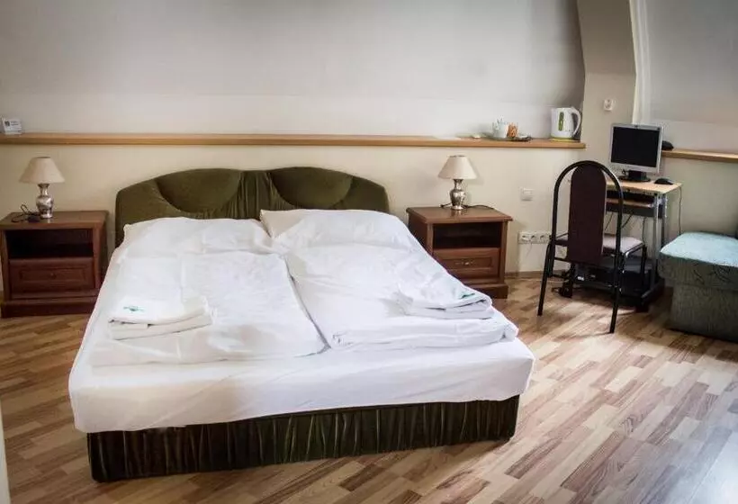 پانسیون Hubert Varga