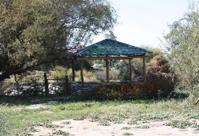 پانسیون Jamilya B&b Guest House