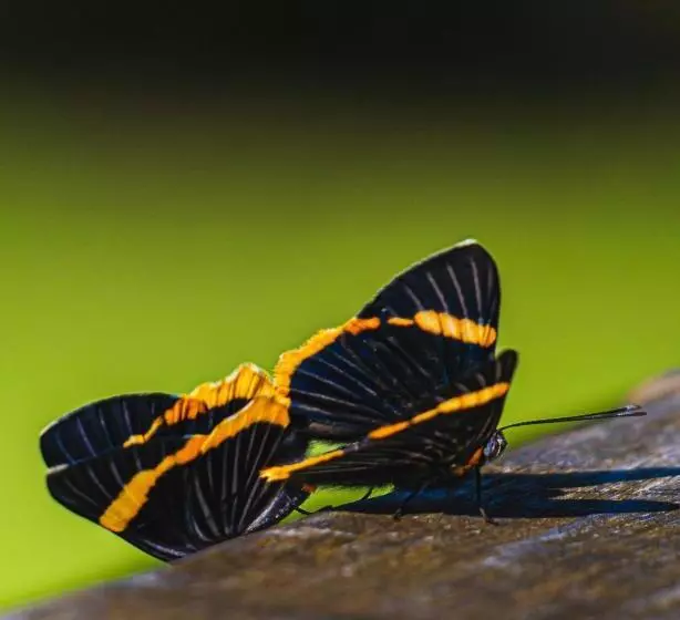 ペンション Pousada Recanto Do Amanhecer