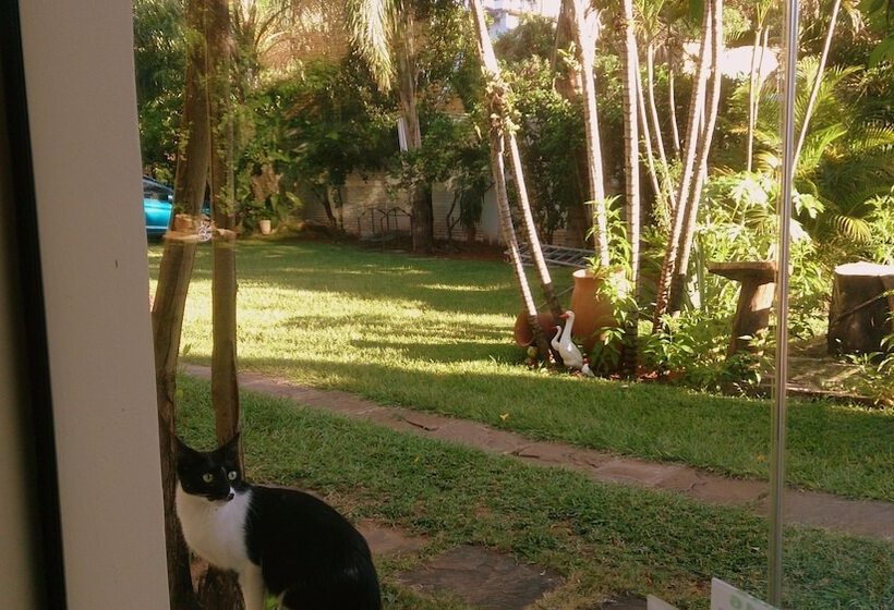 هاستل Posada Shalom