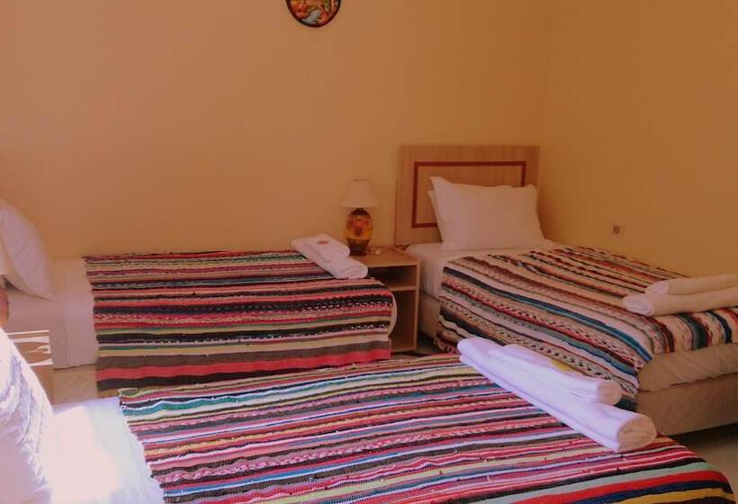 هاستل Posada Shalom