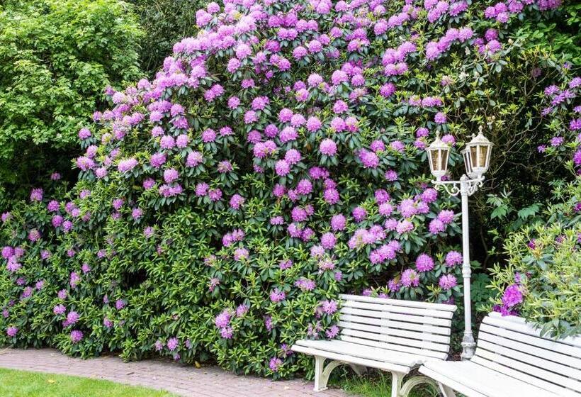 膳宿费 Gasthof Bathmann