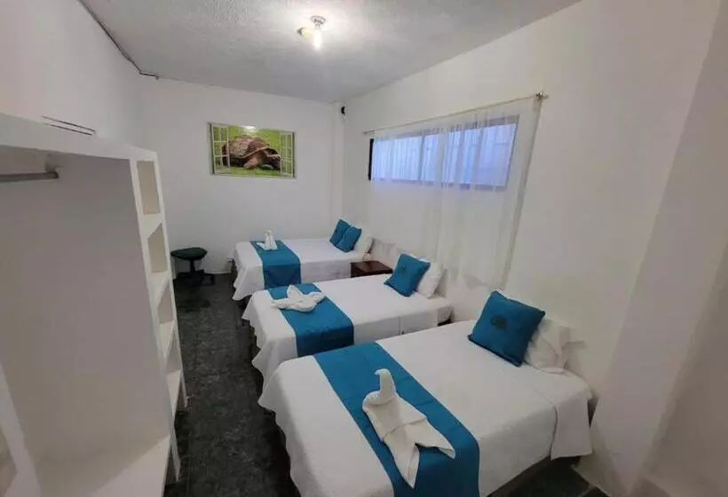 ペンション Hostal Gosén