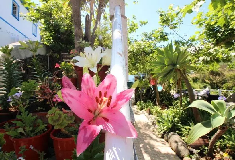 ペンション Quinta Do Canavial