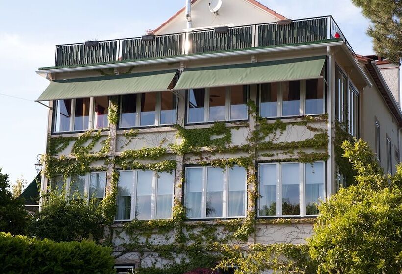 بنسيون Vila Dos Castanheiros