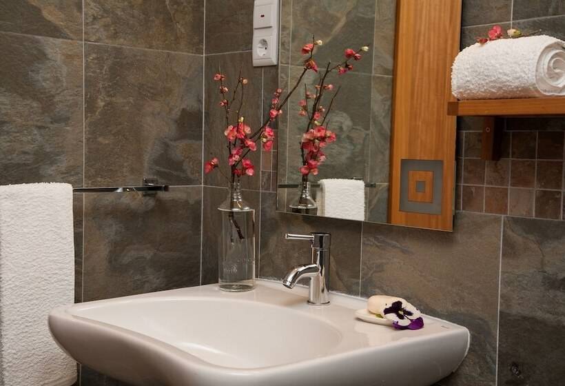 بنسيون Vila Dos Castanheiros