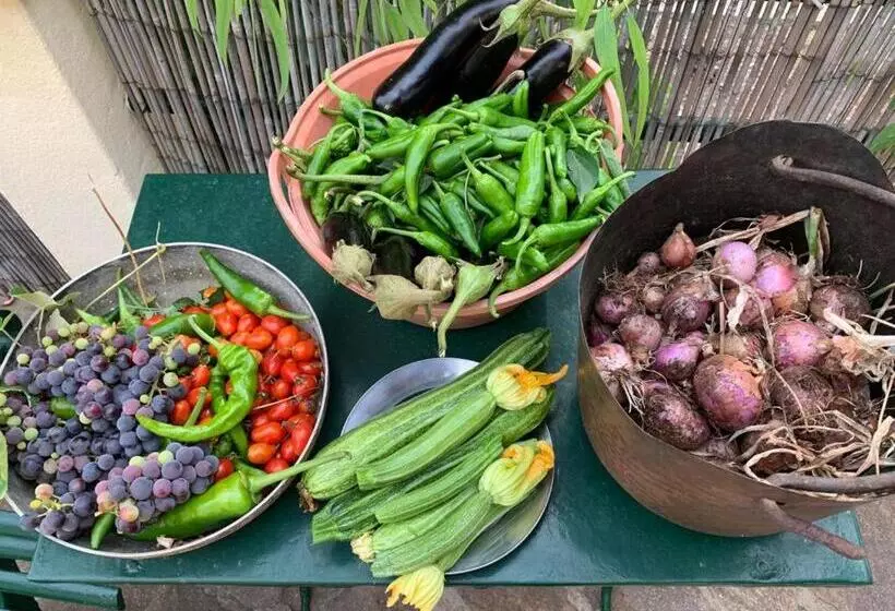 ホテル Agriturismo La Lecciola