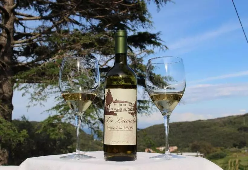 ホテル Agriturismo La Lecciola