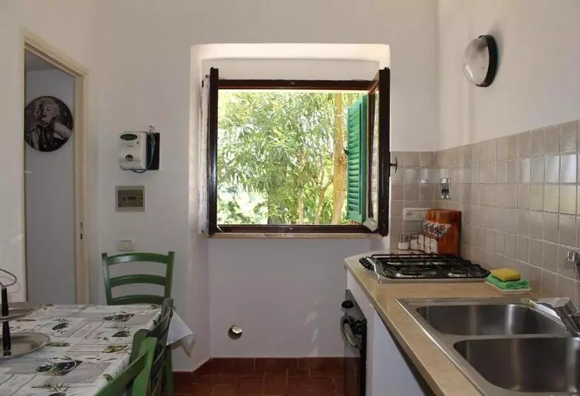 ホテル Agriturismo La Lecciola