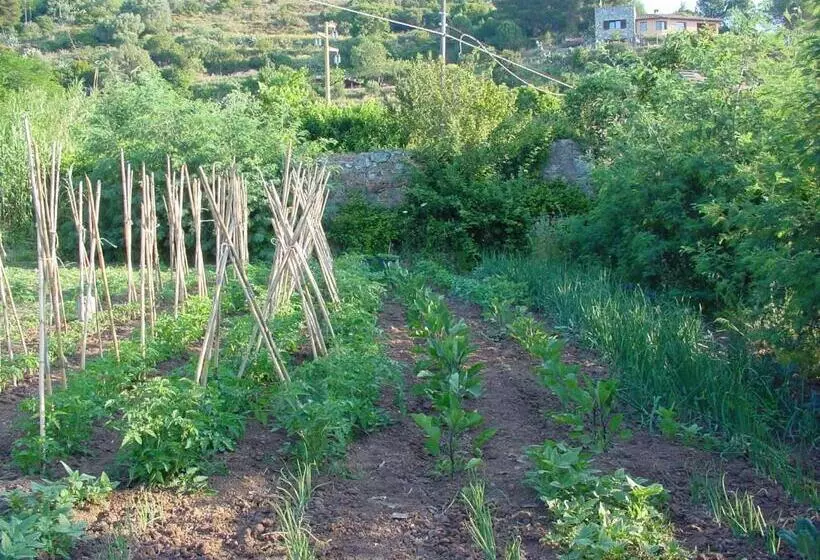 ホテル Agriturismo La Lecciola