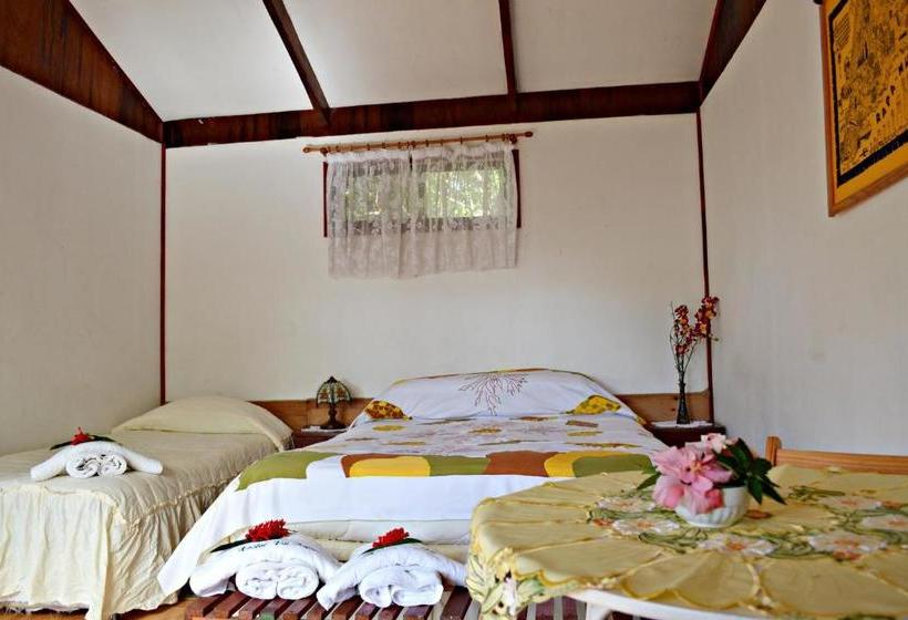 Pension Hostal Vai Kapua