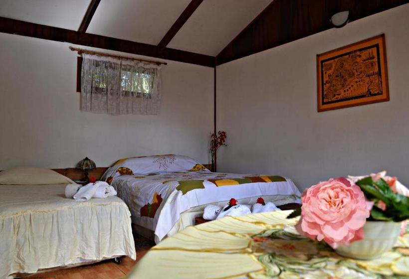 Pension Hostal Vai Kapua