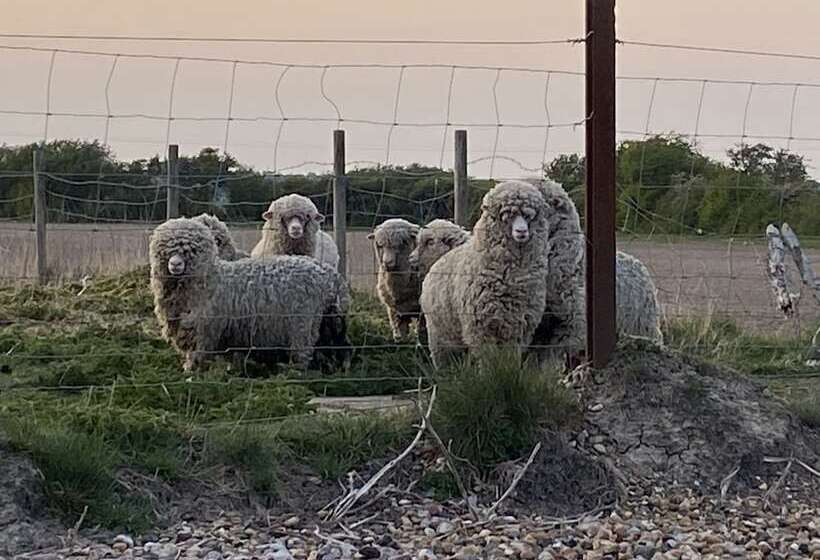 פנסיון Waterside Guesthouse