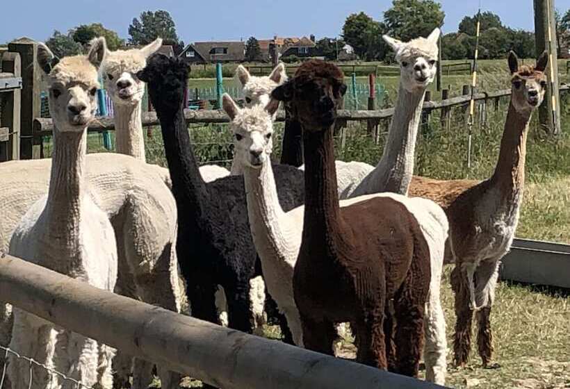 פנסיון Waterside Guesthouse