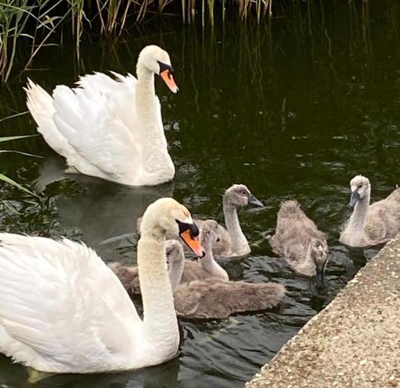 פנסיון Waterside Guesthouse