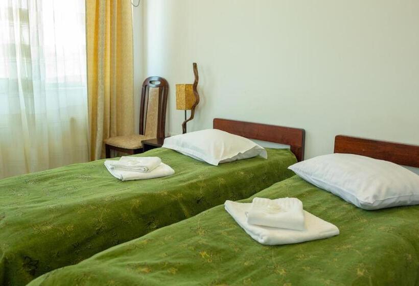 بنسيون Curtea Brancovenească