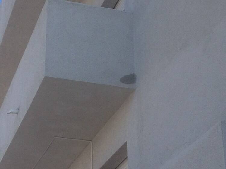 膳宿费 La Contessa