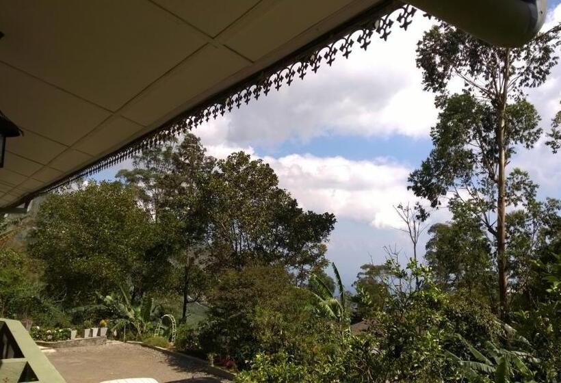 Pension The Nest By Amarasinghe S