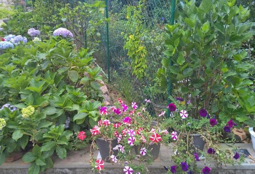 Pension The Nest By Amarasinghe S