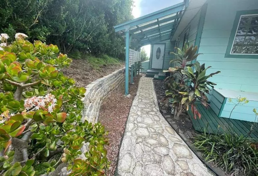 Aamiaismajoitus (B&B) Ha'le Kiana