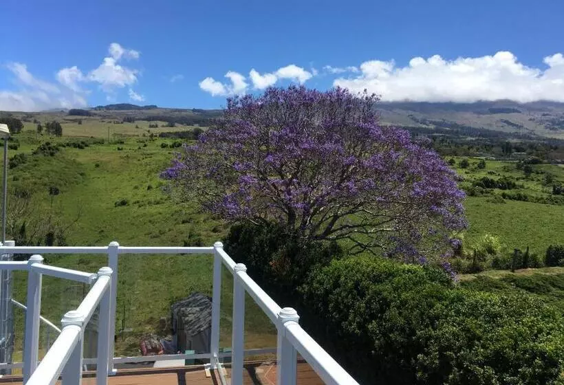 Aamiaismajoitus (B&B) Ha'le Kiana