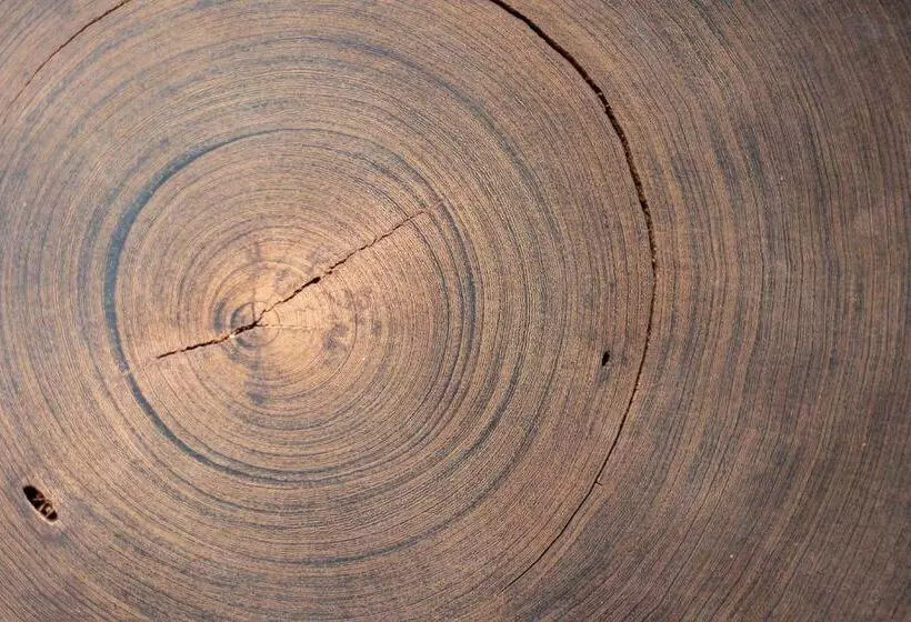 Majatalo Yebo Boutique Guesthouse