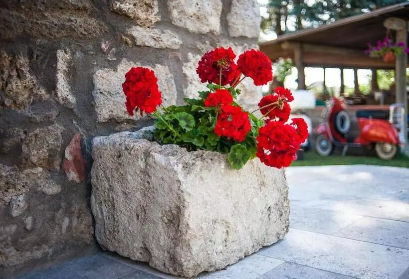 ホテル Agriturismo Dipinture