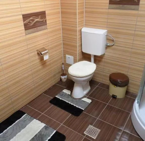 Pensiune Casa Montana Busteni