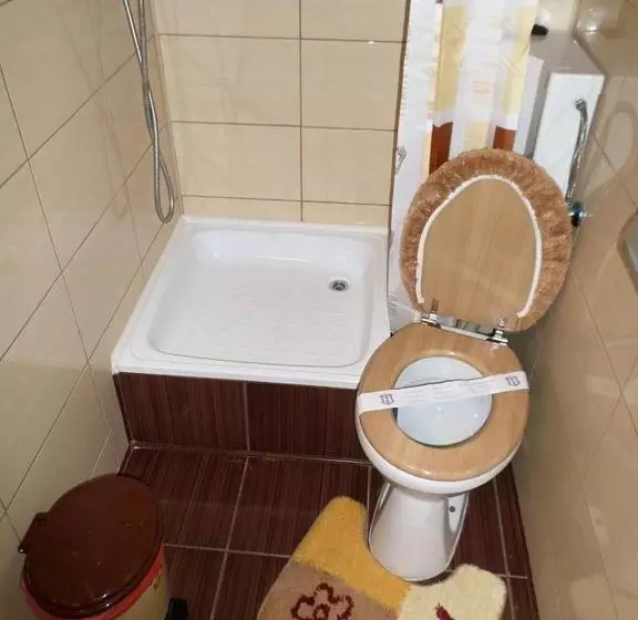 Pensiune Casa Montana Busteni