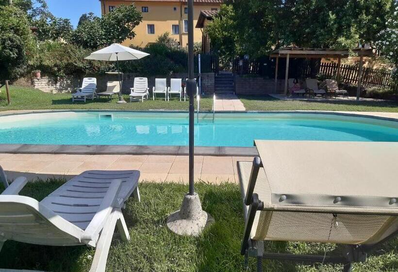 Отель Agriturismo Poggio Al Tesoro