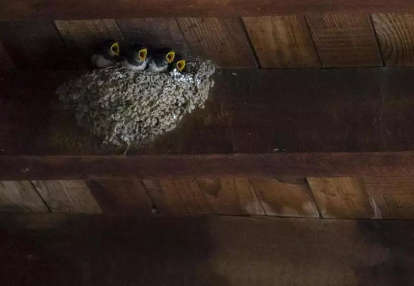 La Trapería Hostal   Pensión Con Encanto