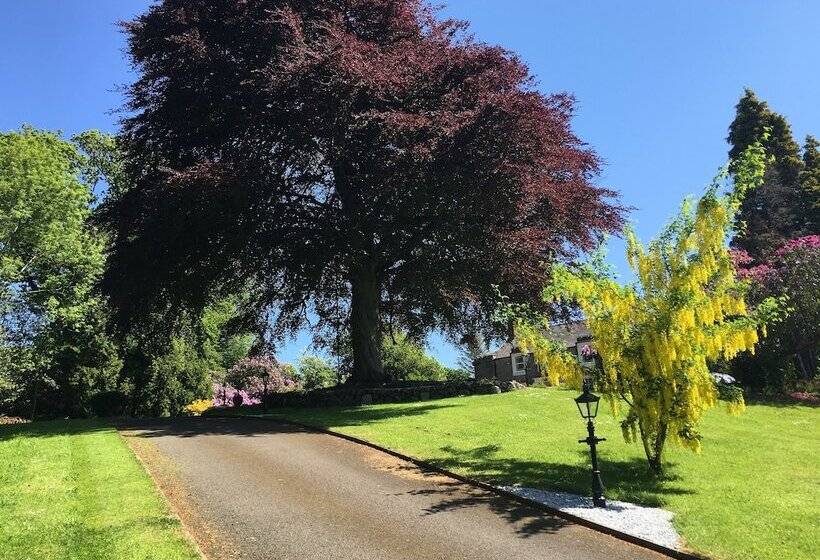 Pensiune Fludha Guest House