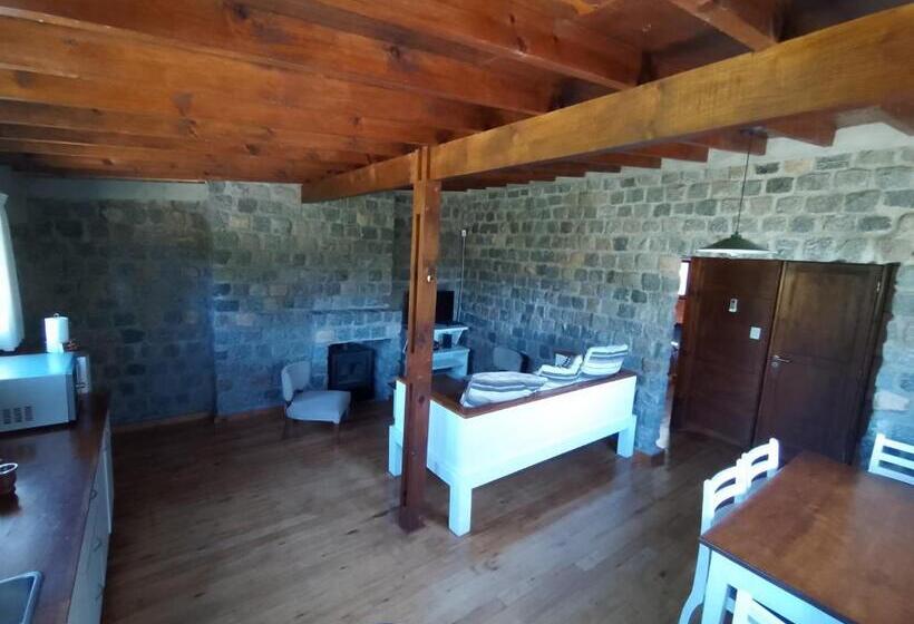 هاستل El Montenegrino