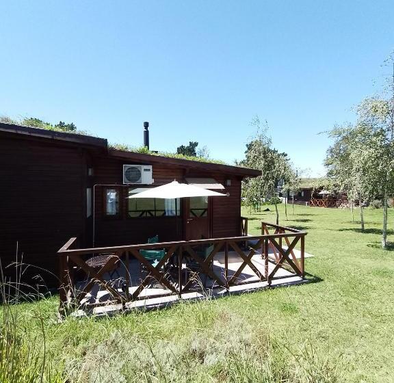 هاستل El Montenegrino