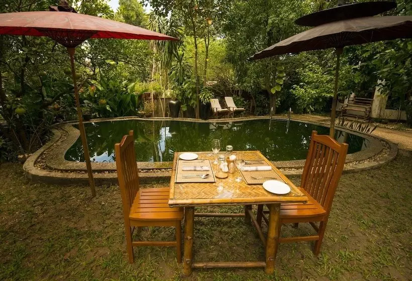 Hostel Mango Hill Inn