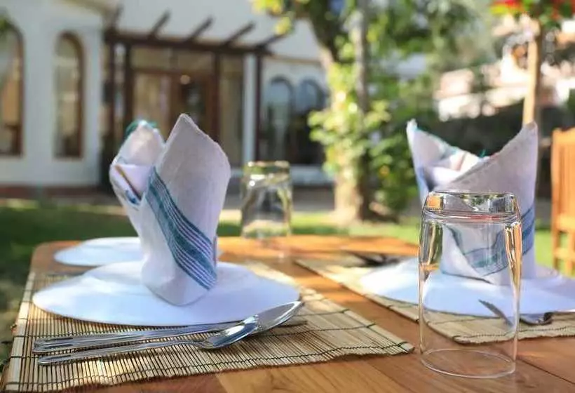 Hostel Mango Hill Inn