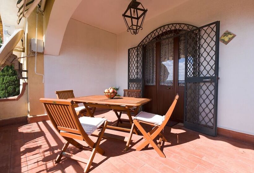 Отель Orange Park